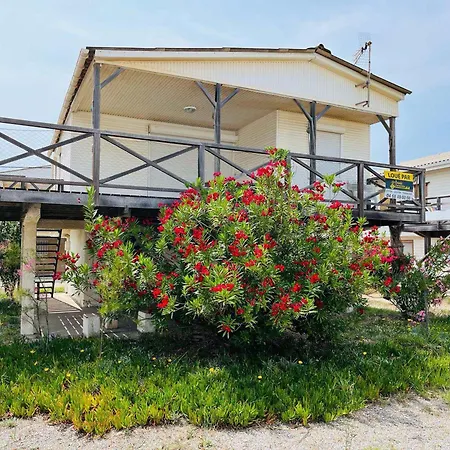 Chalet Cosy 9 Pers A 250m Plage, Terrasse, Parking, Proche Commodites - Fr-1-784-16 Gruissan